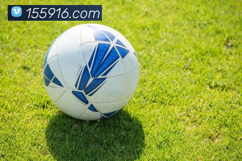 华体会APP 高清赛事图