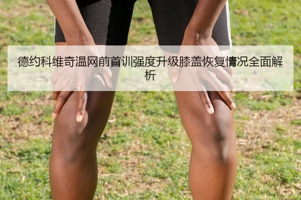 德约科维奇温网前首训强度升级膝盖恢复情况全面解析
