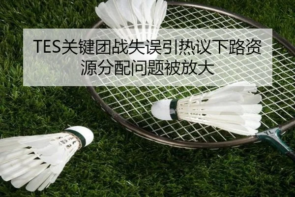 TES关键团战失误引热议下路资源分配问题被放大
