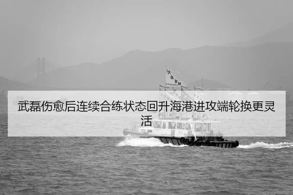 武磊伤愈后连续合练状态回升海港进攻端轮换更灵活